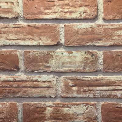 White Red Kaplama Tuglasi